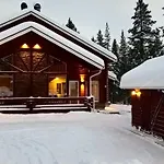 Unelmasaeleikkoe 2 *