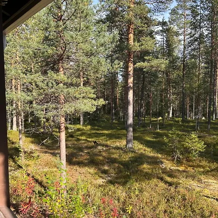 Unelmasaeleikkoe 2 Вилла