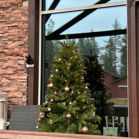 Unelmasaeleikkoe 2 *