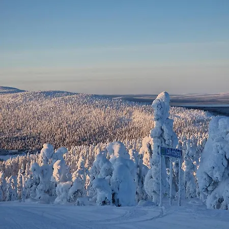 Huvilat Unelmasäleikkö 2 *