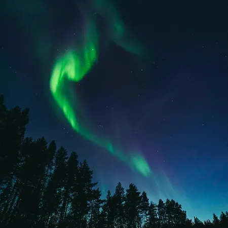 Unelmasäleikkö 2 Huvilat *