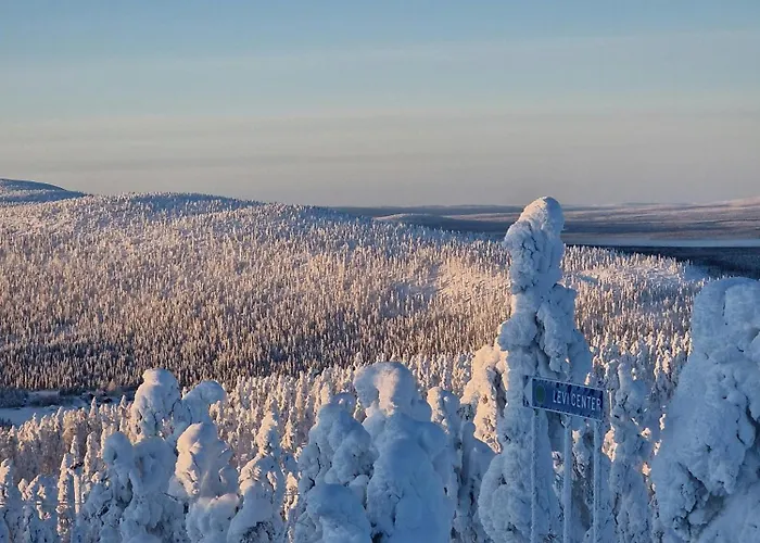 Villa Unelmasaeleikkoe 2 *