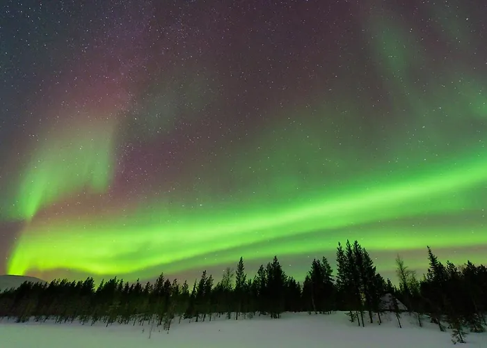 Unelmasaeleikkoe 2 *