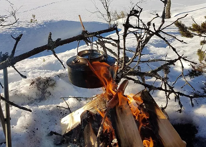 Unelmasaeleikkoe 2 *